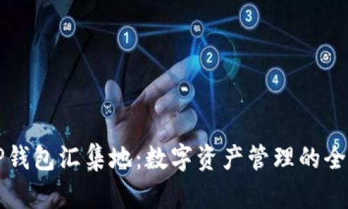 探索TP钱包汇集地：数字资产管理的全新视角