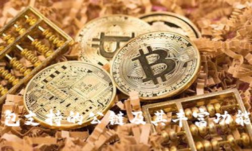 TP钱包支持的公链及其丰富功能详解