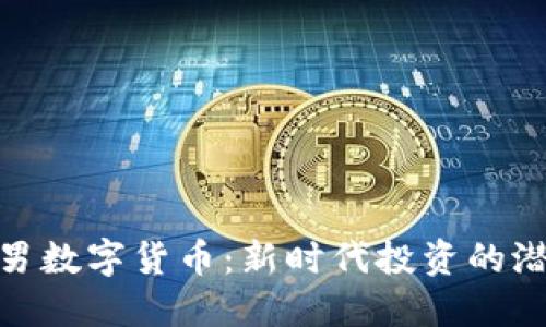 揭秘曹机男数字货币：新时代投资的潜力与风险