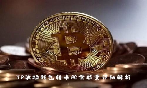 TP波场钱包转币所需能量详细解析
