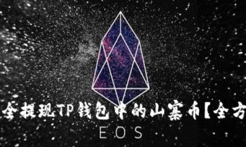 如何安全提现TP钱包中的山寨币？全方位指南