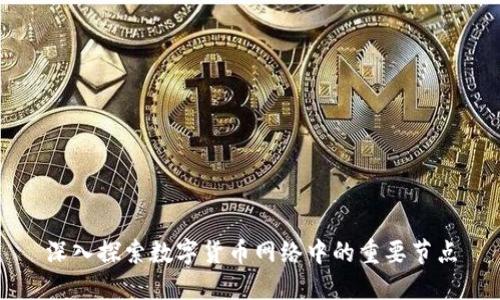 深入探索数字货币网络中的重要节点