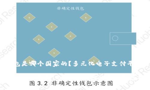 t p钱包是哪个国家的？多元化电子支付平台解析

深入了解t p钱包：它的来源、功能与使用场景
