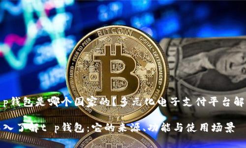 t p钱包是哪个国家的？多元化电子支付平台解析

深入了解t p钱包：它的来源、功能与使用场景