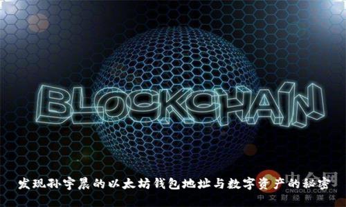 发现孙宇晨的以太坊钱包地址与数字资产的秘密