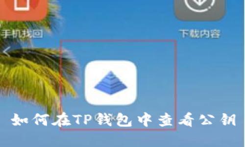 如何在TP钱包中查看公钥
