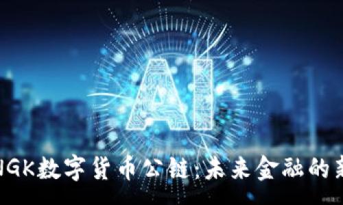 :
探索NGK数字货币公链：未来金融的新纪元