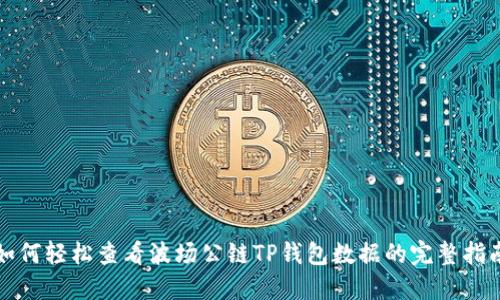 如何轻松查看波场公链TP钱包数据的完整指南