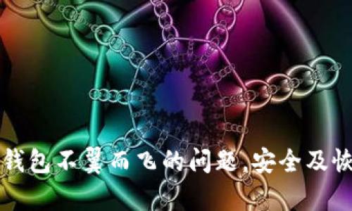 如何解决TP钱包不翼而飞的问题，安全及恢复措施详解