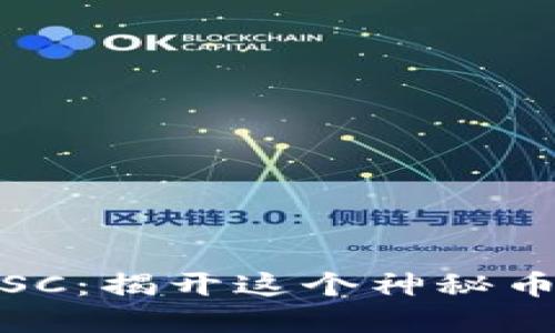 数字货币SC：揭开这个神秘币种的面纱