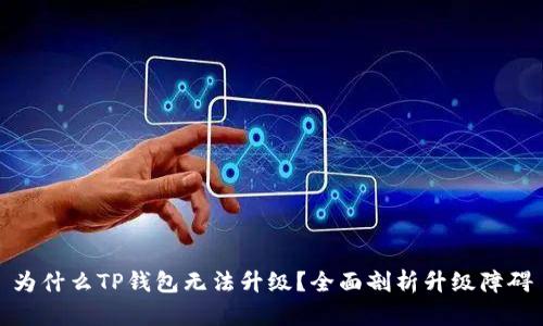 为什么TP钱包无法升级？全面剖析升级障碍
