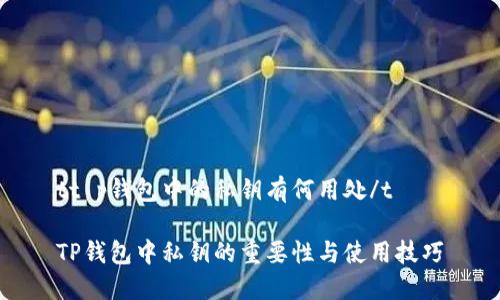 tt p钱包中的私钥有何用处/t

TP钱包中私钥的重要性与使用技巧