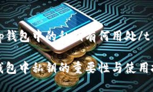 tt p钱包中的私钥有何用处/t

TP钱包中私钥的重要性与使用技巧