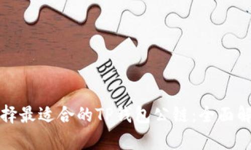 选择最适合的TP钱包公链：全面解析