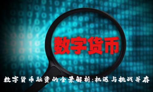 数字货币融资的全景解析：机遇与挑战并存