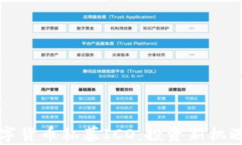 
深入探讨数字货币私募ICO：投资新机遇与风险解析