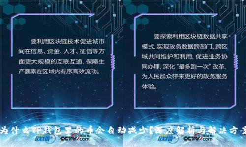 为什么TP钱包里的币会自动减少？深度解析与解决方案