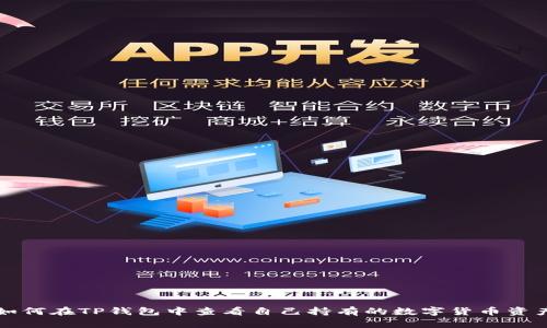 如何在TP钱包中查看自己持有的数字货币资产